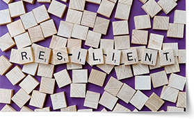 Practical ways of becoming more Resilient Training Course